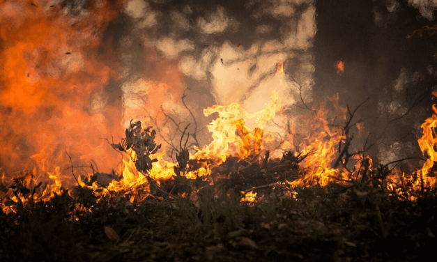 Baixa umidade e ventos fortes aumentam alerta de queimadas