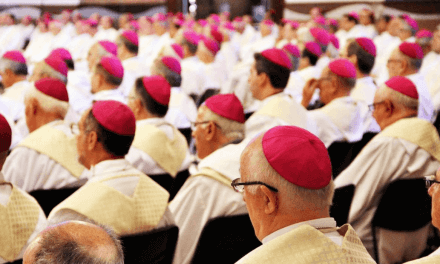 Curso Anual para os Bispos do Brasil abordará atualizações da catequese