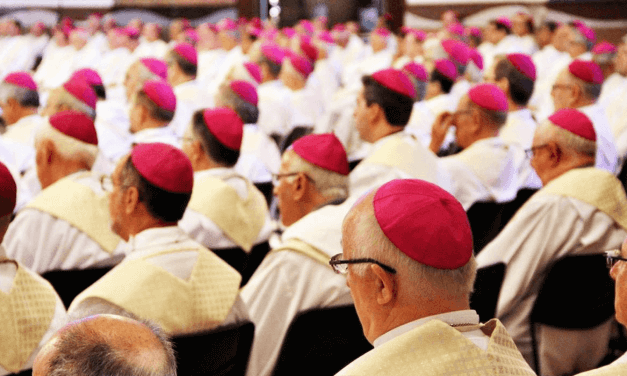 Curso Anual para os Bispos do Brasil abordará atualizações da catequese