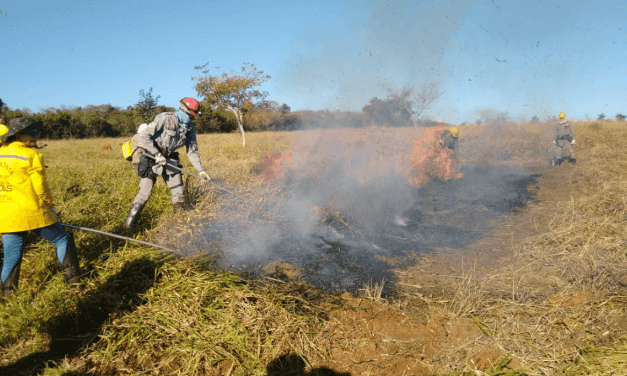 Sudoeste registra 307 queimadas em uma semana