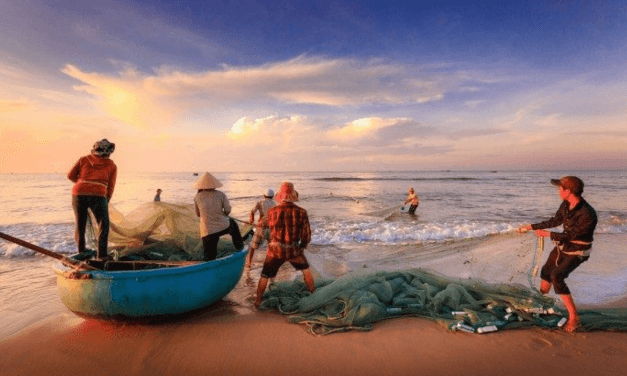 Dicastério Desenvolvimento Integral: respeito pela dignidade dos trabalhadores no mar