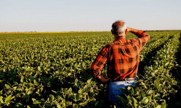 Produtor rural poderá regularizar cadastro ambiental pela internet