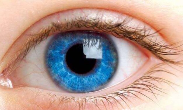 Guia tenta evitar expansão de casos de cegueira por glaucoma