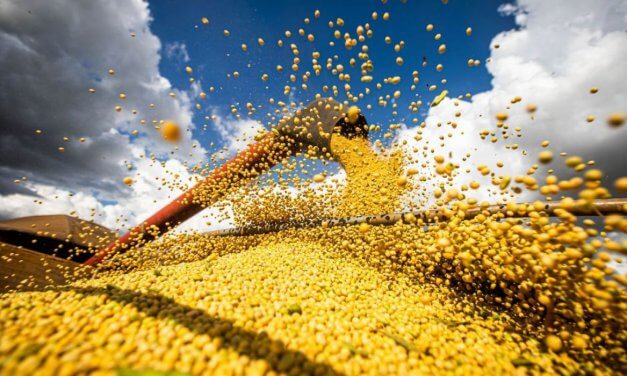 IBGE estima safra de 261,4 milhões de toneladas em 2022