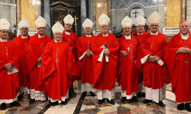 Bispos do estado de São Paulo iniciam visita ao Vaticano