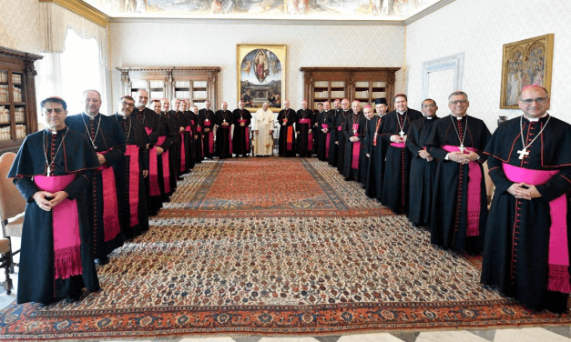Bispos do Regional Sul 1 se encontraram com o Papa Francisco durante Ad Limina
