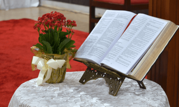 Como ler e entender a Bíblia