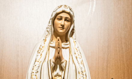 Padre propõe reflexão sobre o lugar de Maria “no seio da sociedade atual”