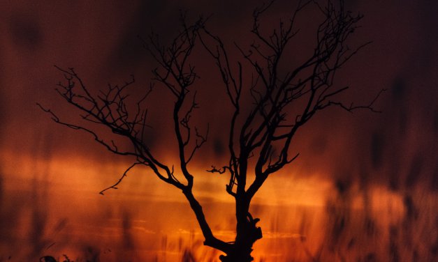 Julho é o mês mais quente da história, afirmam climatologistas