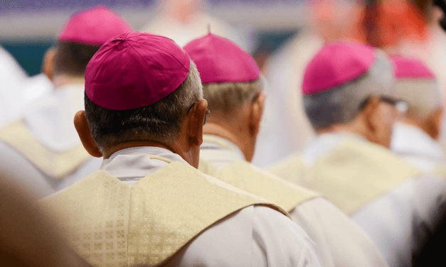 Bispos brasileiros recém-nomeados pelo Papa vivem encontro em Brasília