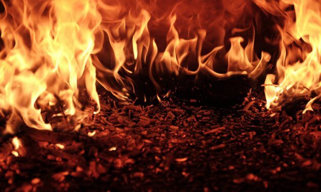 Instituições realizam arrecadação para vítimas de incêndios no Havaí