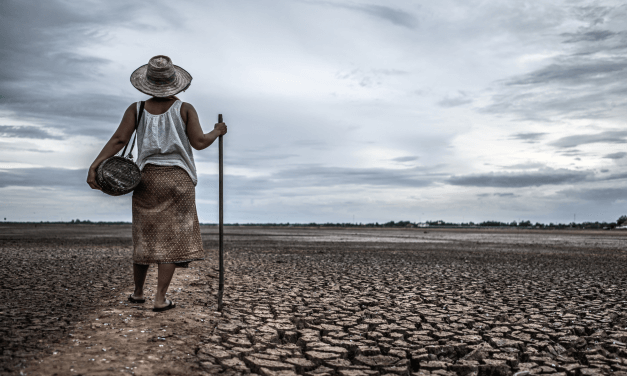 Caritas publica relatório sobre mudanças climáticas e migração forçada