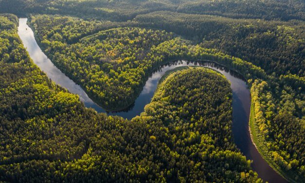 CNBB, Repam e Cáritas pedem ajuda para vítimas da seca na Amazônia