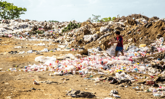 Dia Mundial dos Pobres é convite para ações concretas, afirma bispo