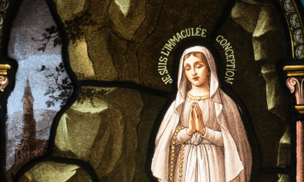 Celebrar a Imaculada Conceição para acolher o Salvador, indica frei