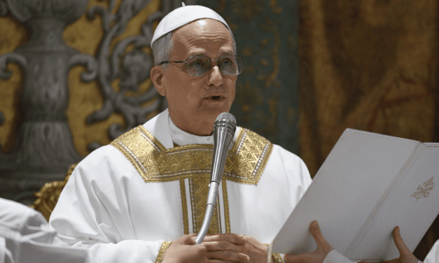 Papa Leão XIV: somos chamados a testemunhar a alegria da fé em Cristo