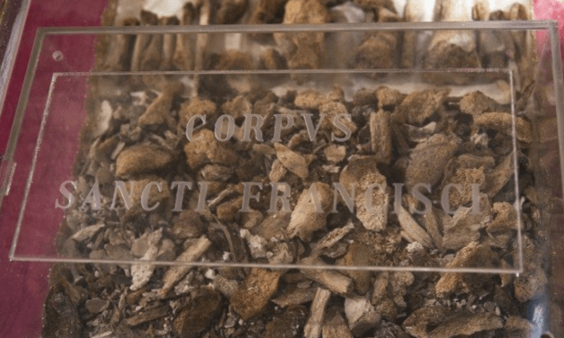 Exposição inédita de relíquias de São Francisco de Assis começa domingo