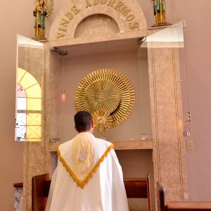 A Igreja e o Ano Sacerdotal