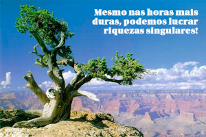 Crescer nos revezes do dia