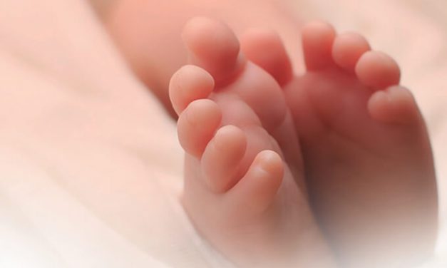 O Colo de Maria é o aconchego que todo filho precisa