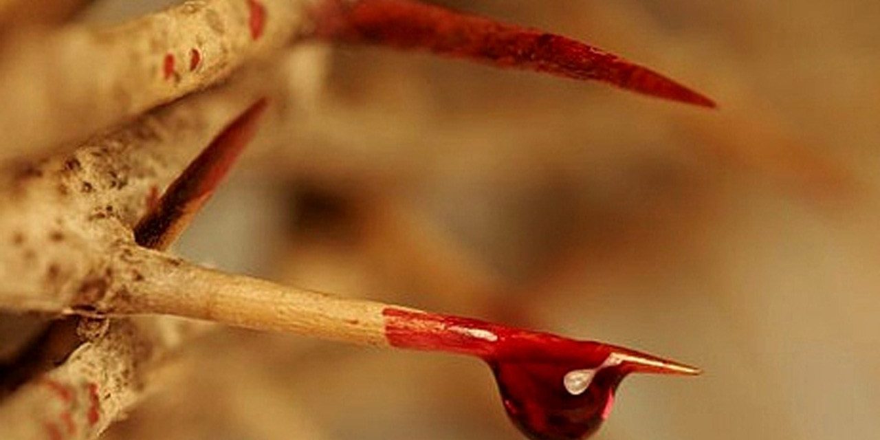 Consagração ao Preciosíssimo Sangue de Jesus