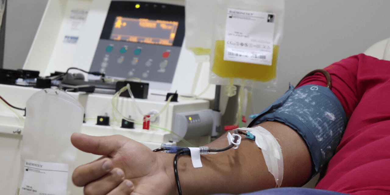 Hemocentro usará plasma para tratar pacientes com Covid-19