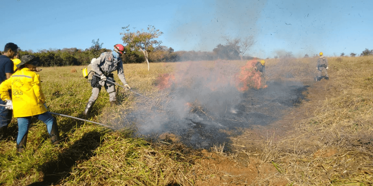 Sudoeste registra 307 queimadas em uma semana