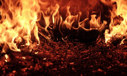 Instituições realizam arrecadação para vítimas de incêndios no Havaí